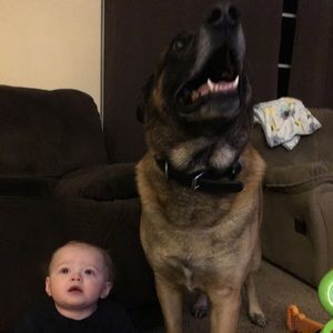 Meet your Posher, Devin